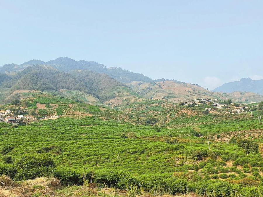 微信图片_20240614225006