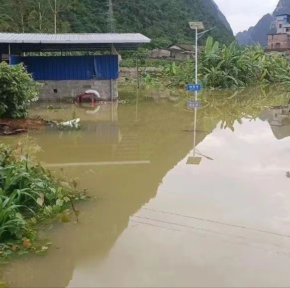 微信图片_20240615191317