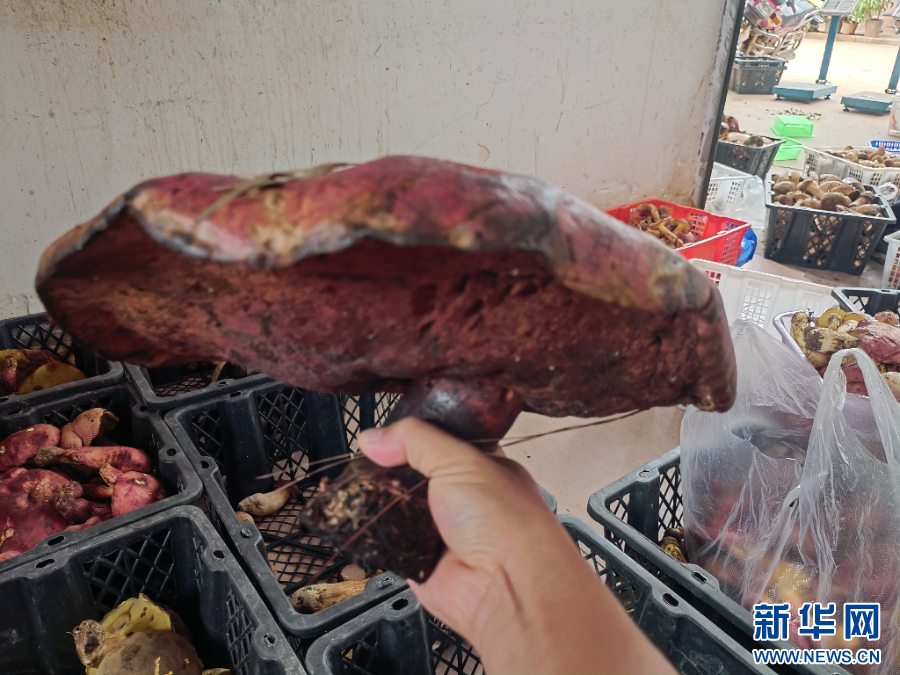 微信图片_20240616141632