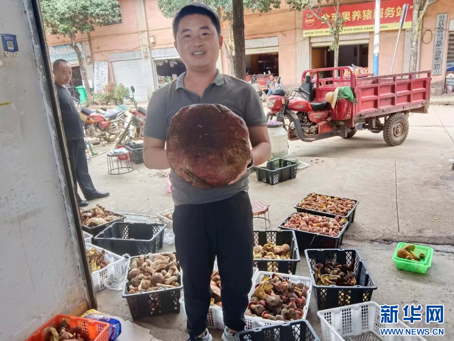 微信图片_20240616141617
