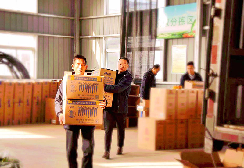 fe42124b-8007-435d-89cf-8a66e44ebca2