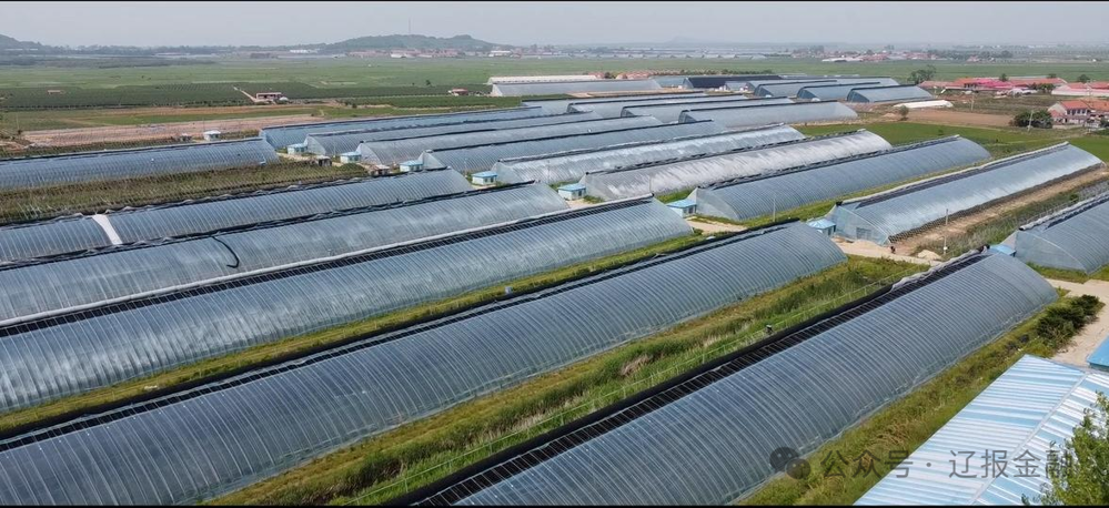 微信图片_20240705171533