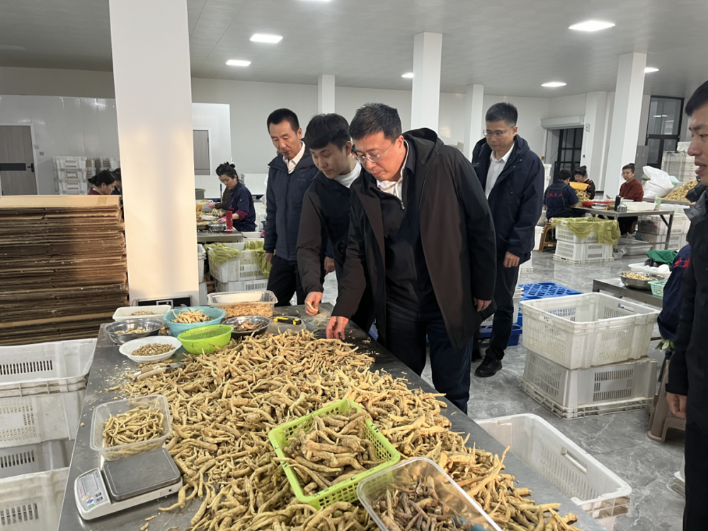 微信图片_20240712164857