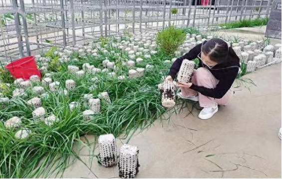 微信图片_20240715221448