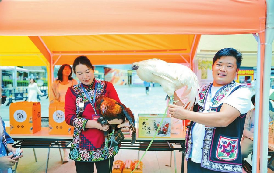 微信图片_20240719172134