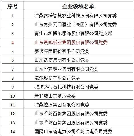 晨鸣集团党委入选潍坊“百名时代先锋”名单