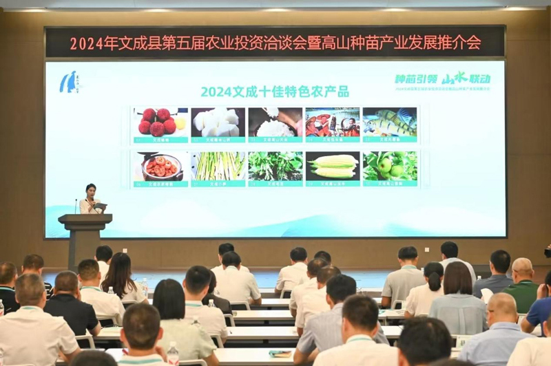 温州市文成县第五届农业投资洽谈会。夏晓强摄