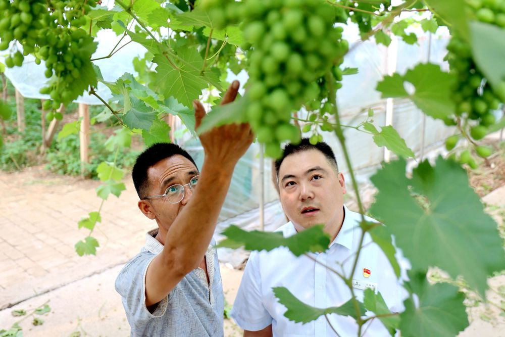 微信图片_20240809164651