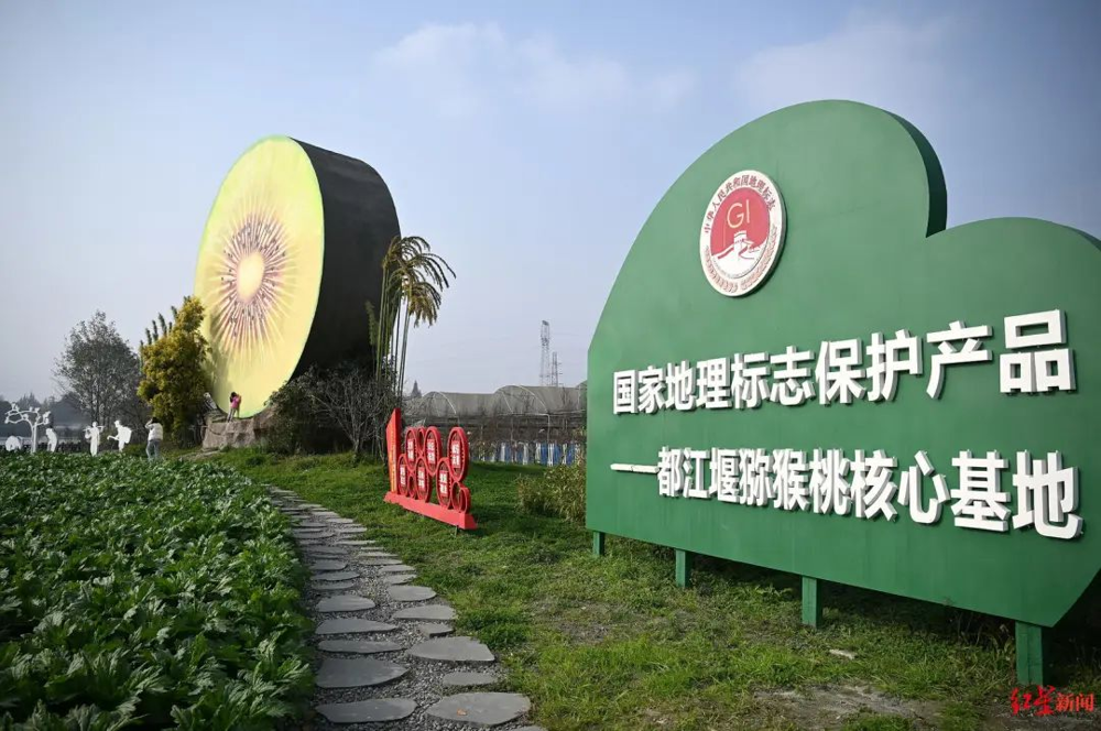 微信图片_20240819012541