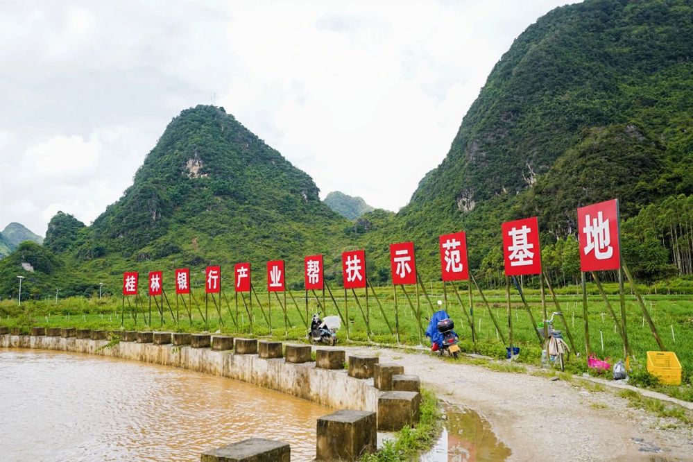 微信图片_20240823100225
