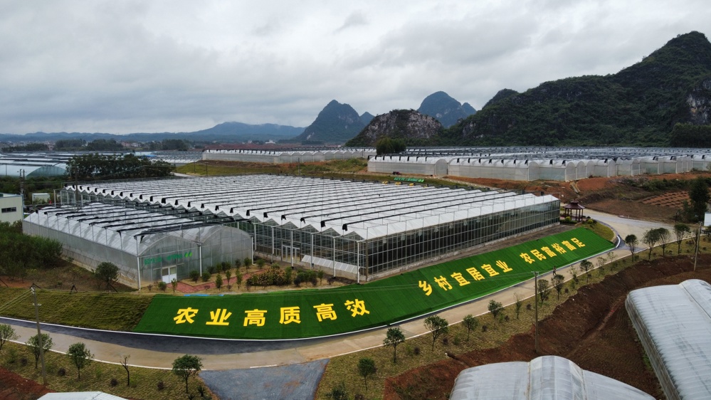 图为贺州市平桂区现代设施大棚蔬菜种植基地 农发行广西区分行供图