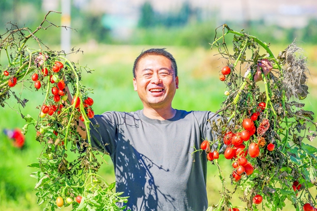 微信图片_20240909220857