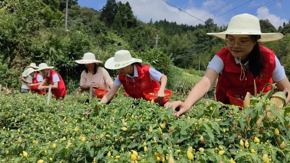 微信图片_20240910093630