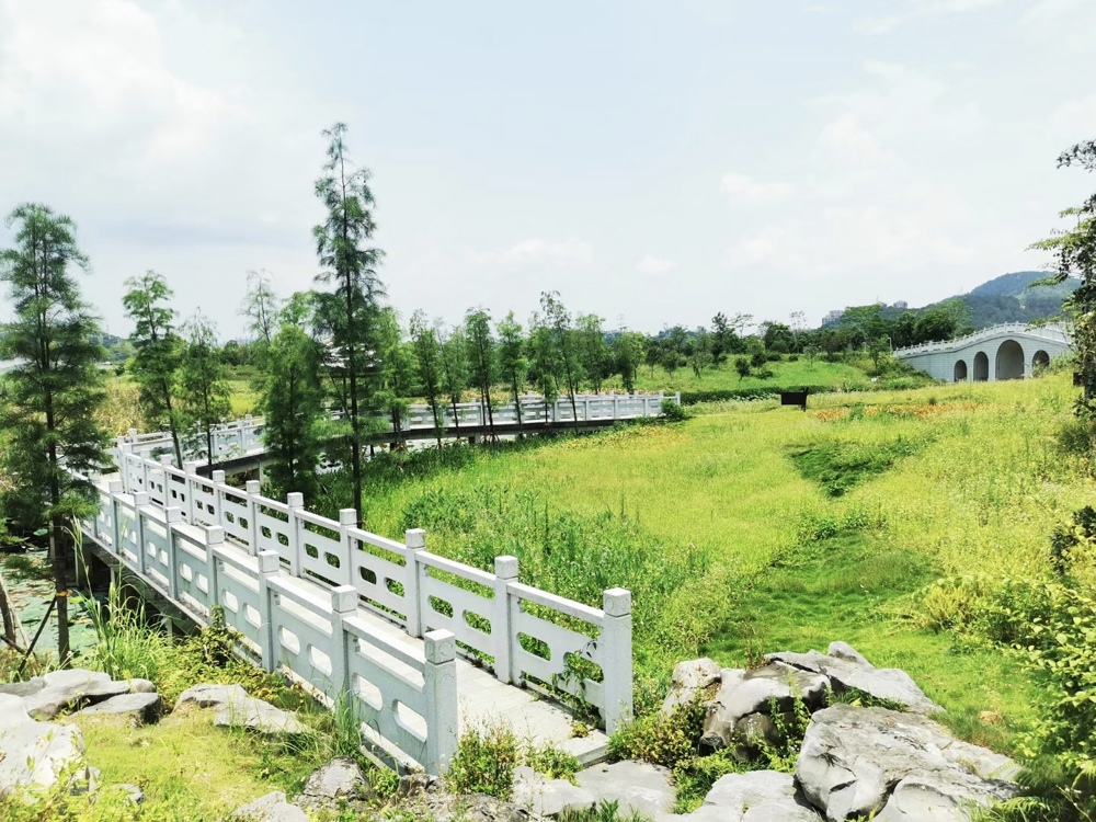 图为农发行广西梧州分行支持的广西梧州苍海国家湿地公园生态建设项目 农发行广西梧州分行供图