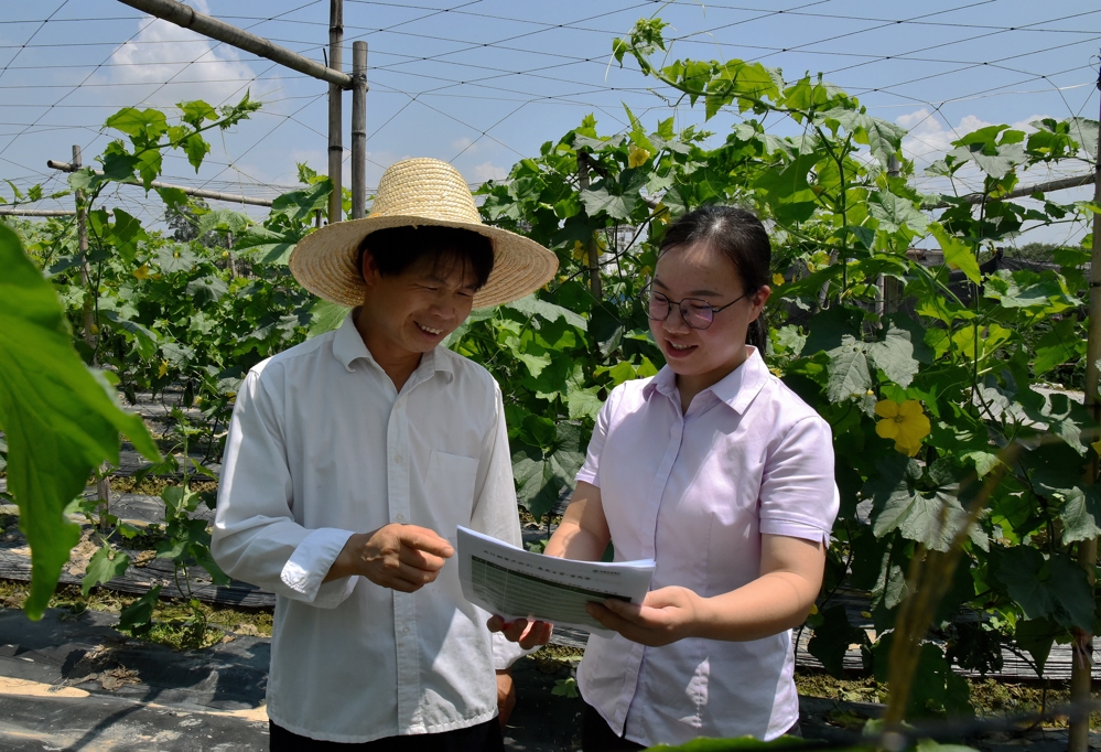 图为农行广西贺州八桂支行三农客户经理到田间地头了解蔬菜种植农户信贷需求、宣讲惠农支农政策 农行广西贺州八桂支行供图