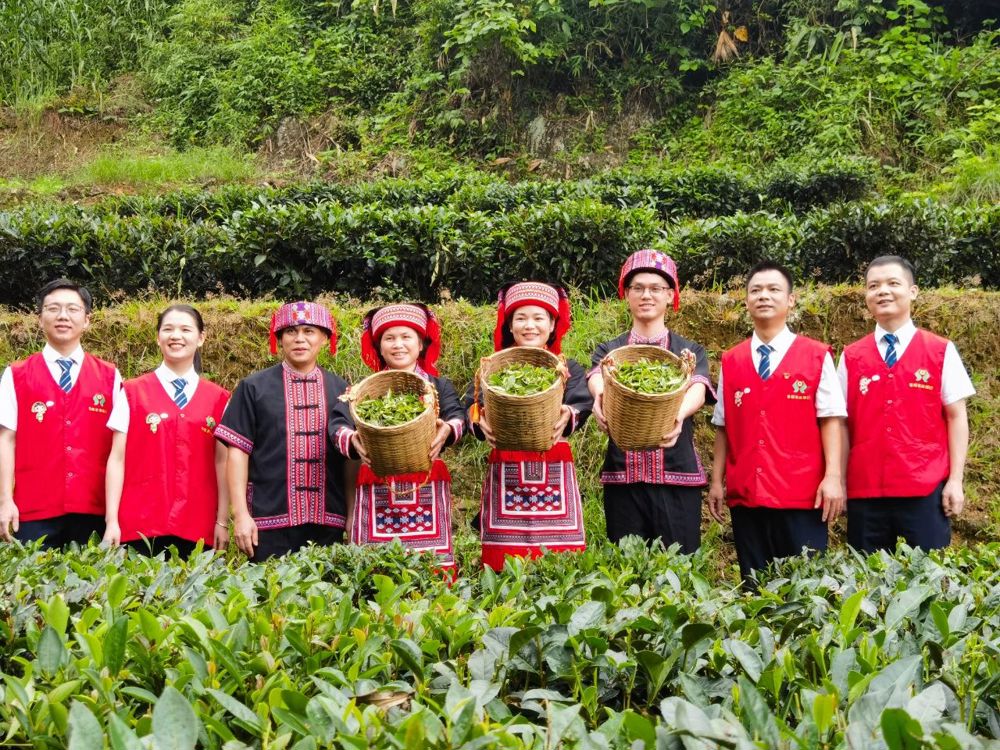 微信图片_20241015094917