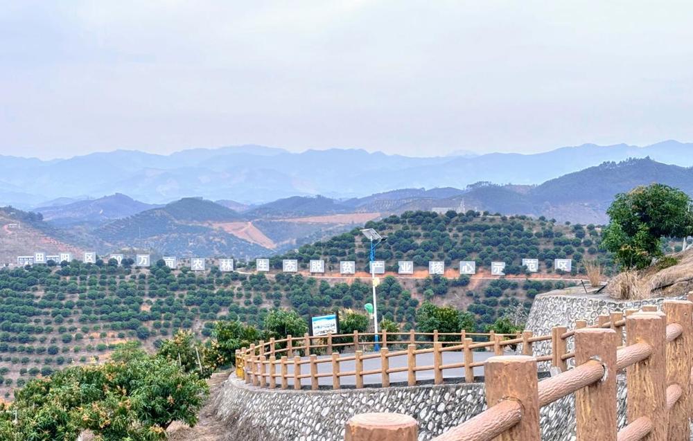 图为农发行广西百色市分行支持20万亩现代农林生态脱贫产业核心示范区 农发行广西百色市分行供图