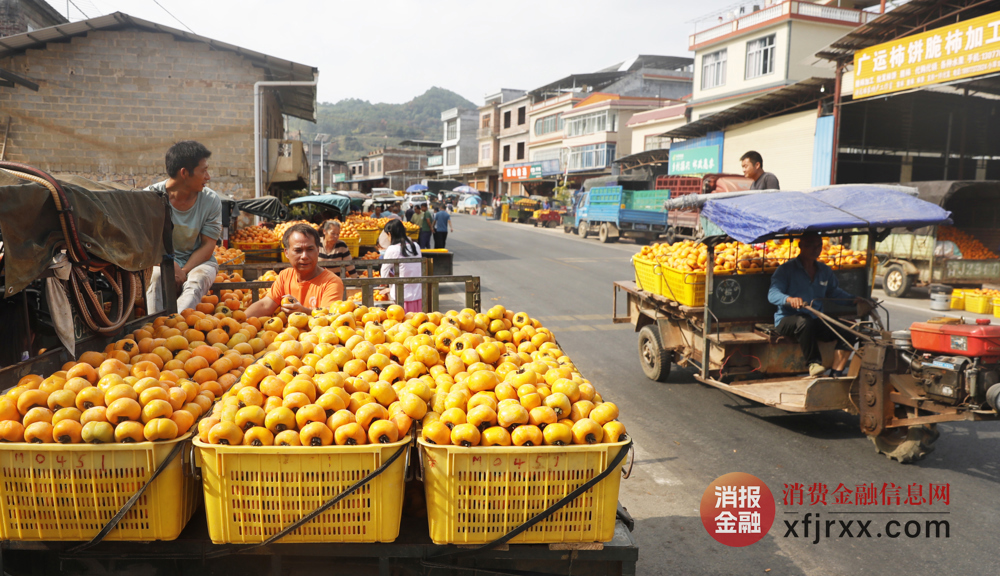 图为平乐县二塘镇甑山村柿子交易市场一角 伍文悄摄