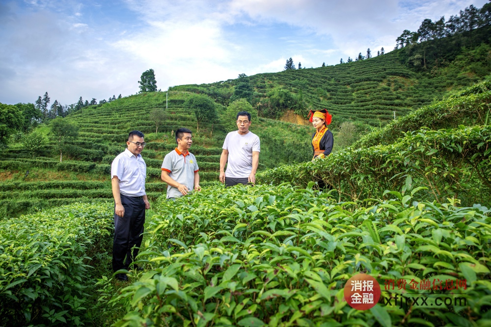 图为蒙山农商银行深入茶企调研，了解企业融资需求 蒙山农商银行供图