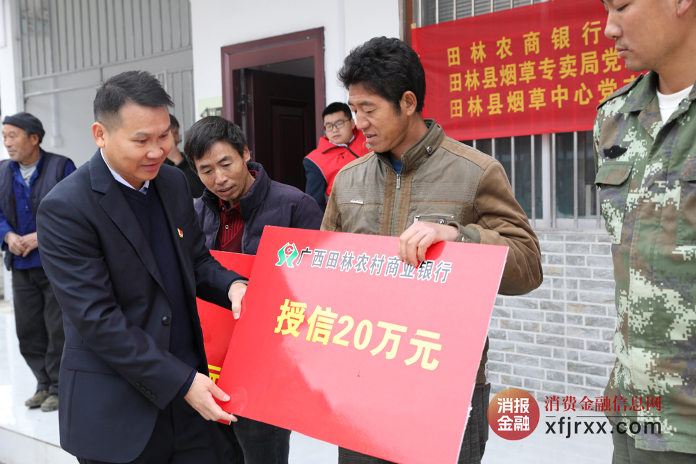 图为此次授信仪式现场 田林农商银行供图