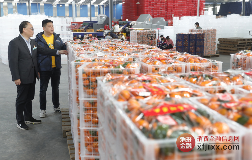农行客户经理与邹老板查看即将运车的沙糖橘