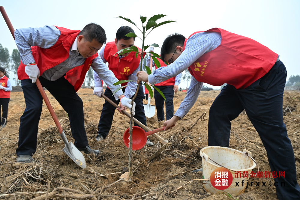 植树活动现场3