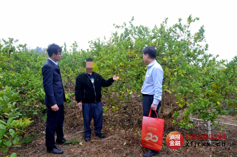图为农行贵港平南县官成支行工作人员走访当地农户，了解其信贷需求