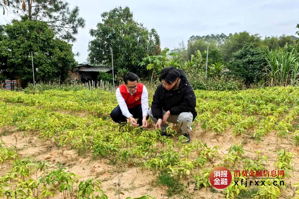 5.金融专员实地了解果苗场情况