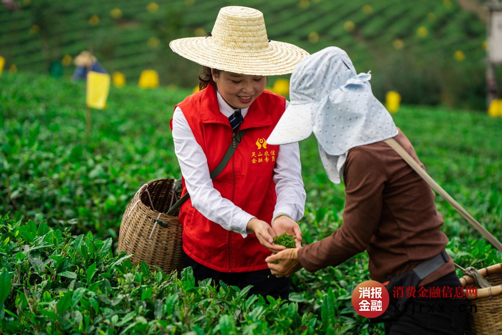 2.2金融专员上门入户对接茶农信贷需求