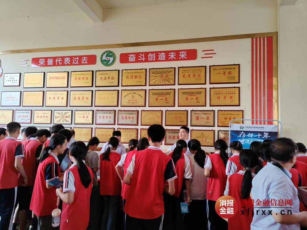 图片12
