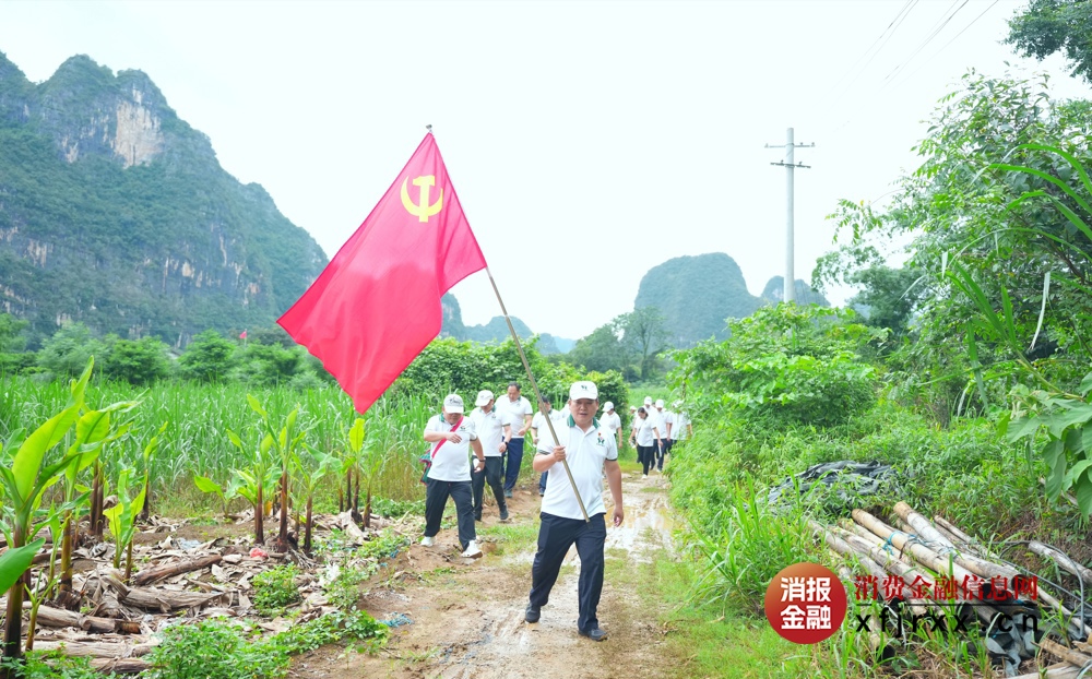 图片5