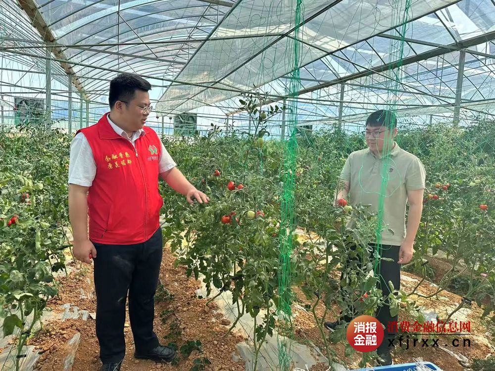 微信图片_20250714175017