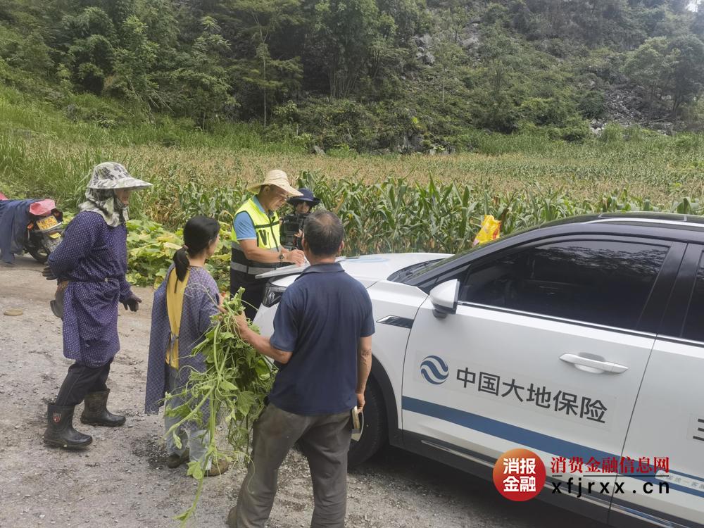 图为中国大地保险查勘定损现场 中国大地保险供图