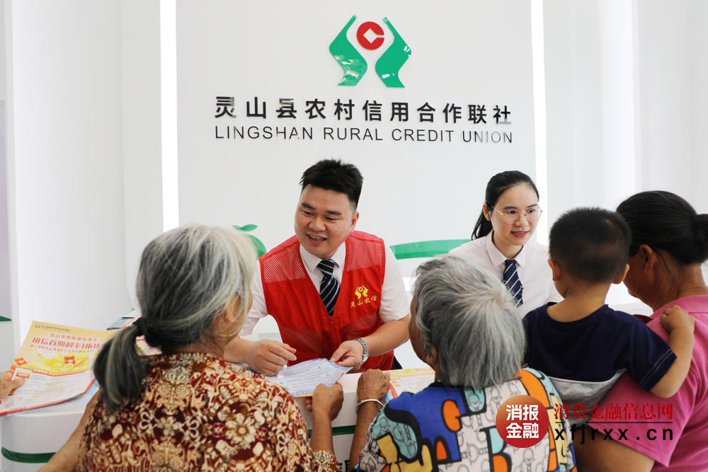 灵山农信社便民服务点工作人员解答群众惠农补贴业务咨询