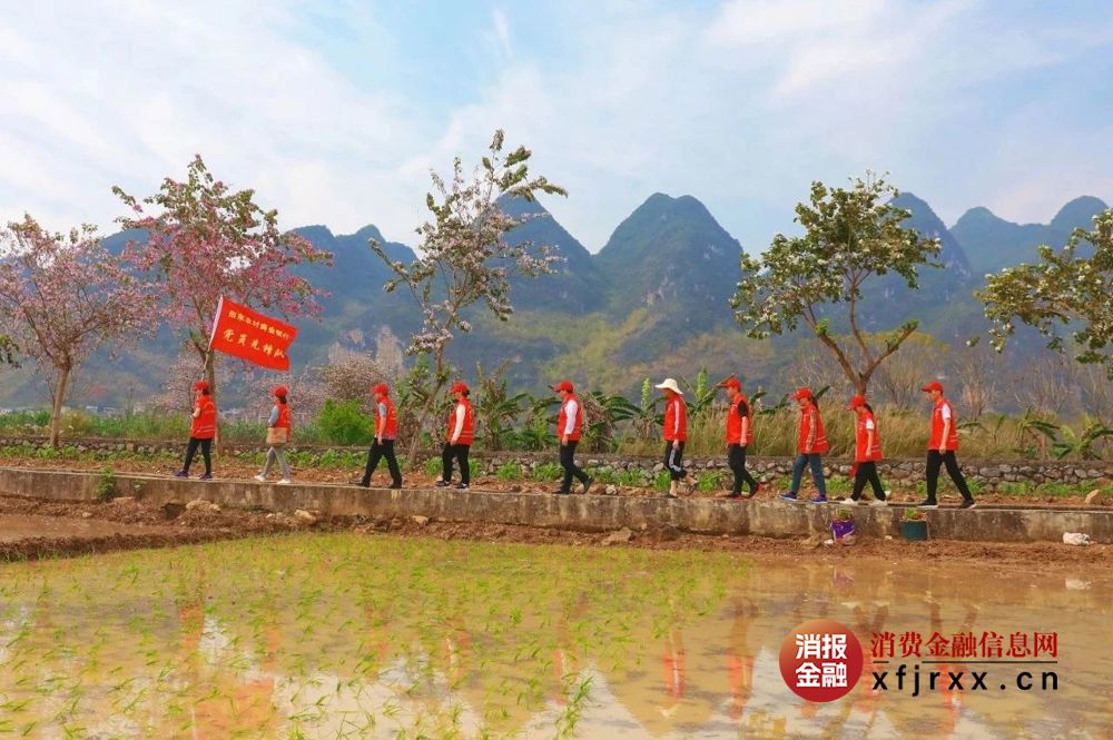 微信图片_20250731110859
