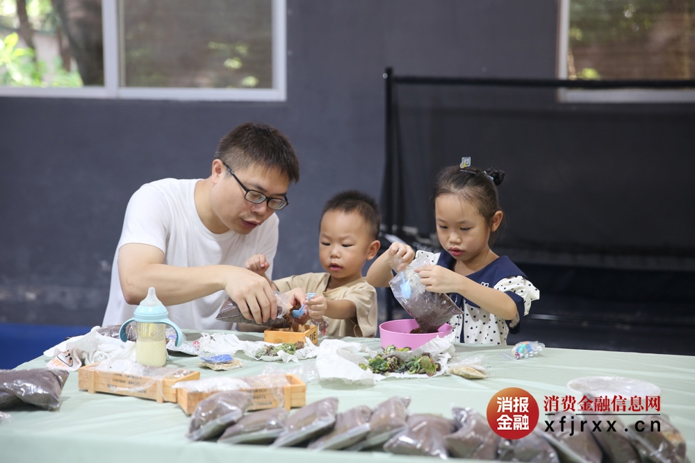 一起栽绿植