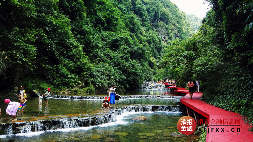 水锦（作者：马山摄影师协会陆丽红，已授权）