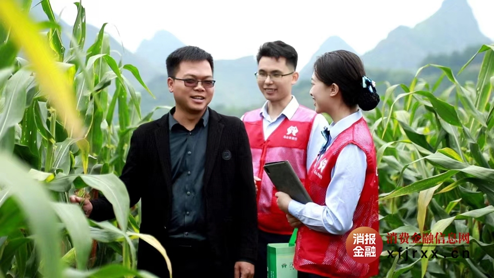 玉米3