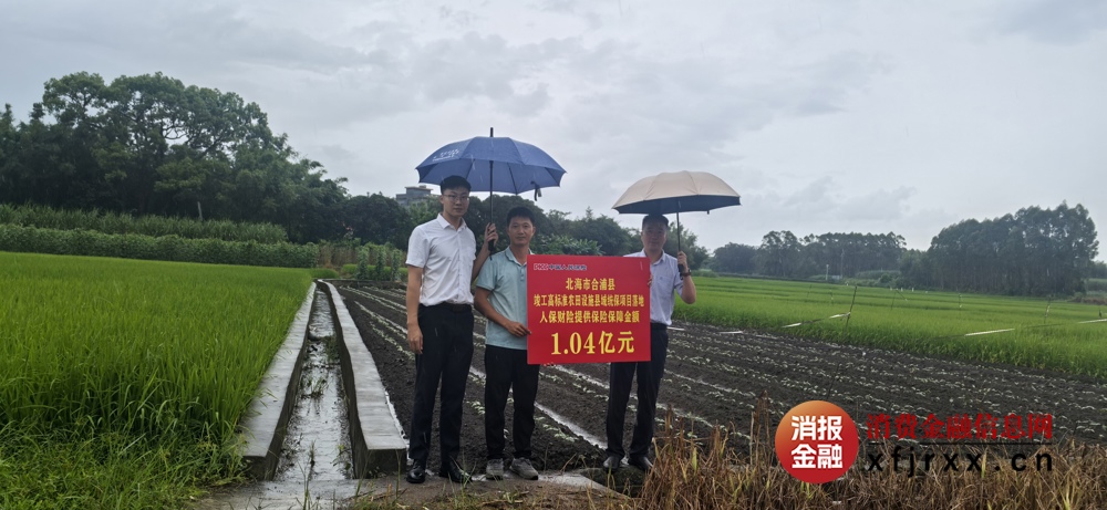 人保财险北海市分公司农险部、合浦县支公司负责人与合浦县农业农村局股长，在合浦县廉州镇高标准农田田垄上手持签单“农田设施损毁综合保险”的标牌  人保财险北海市分公司供图