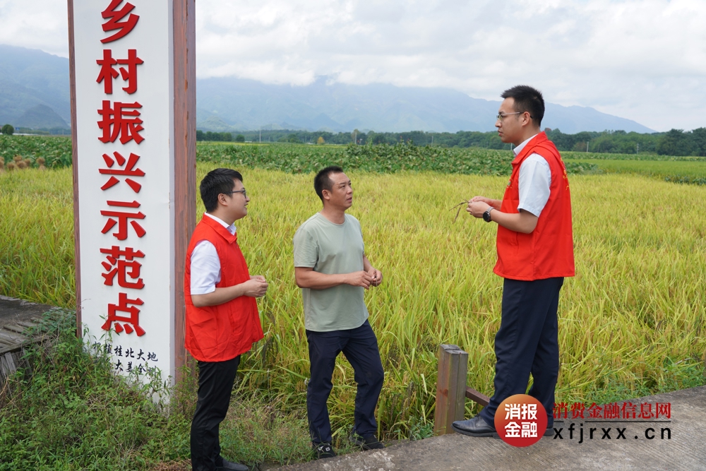 全州农合行深入田间地头了解农作物生产情况