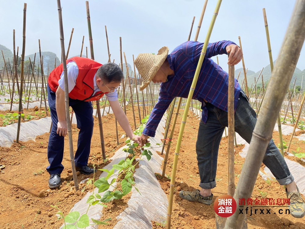微信图片_20250415185333