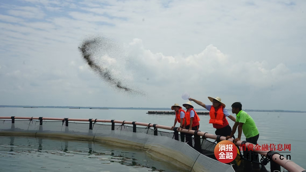 微信图片_20250922092319