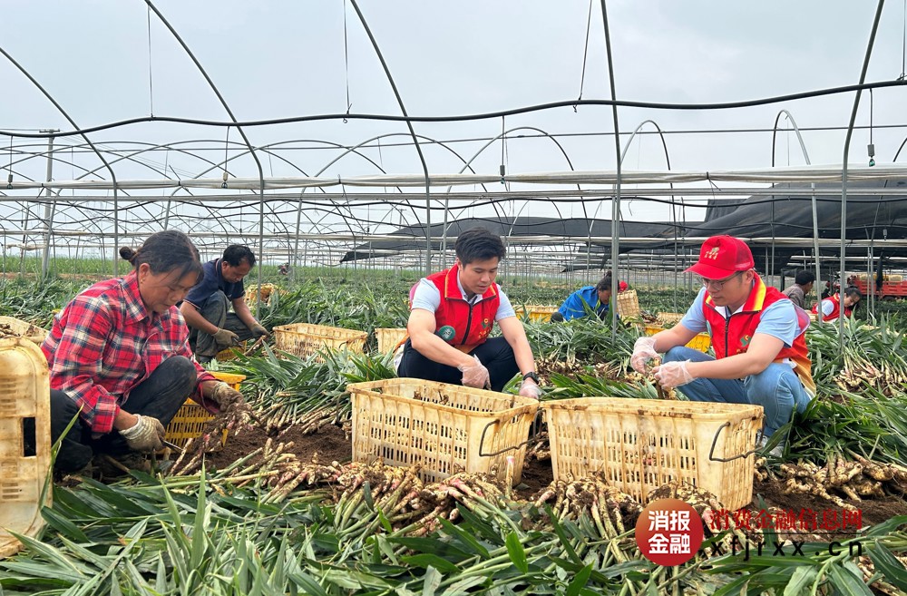 微信图片_20250922154938