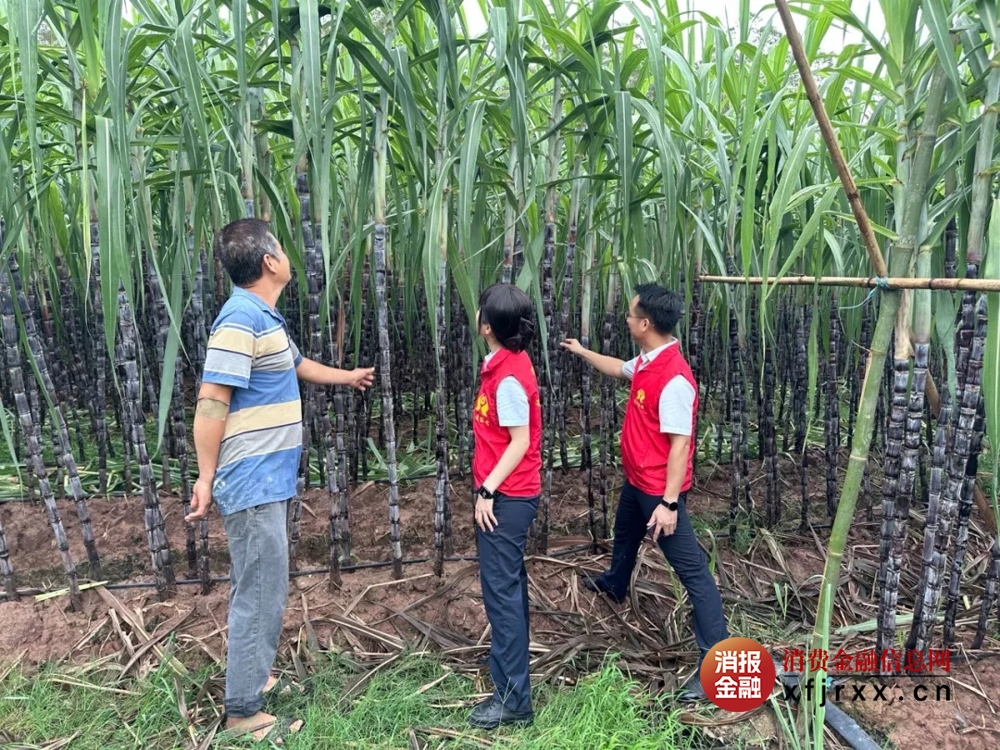 微信图片_20251013155611_155_1