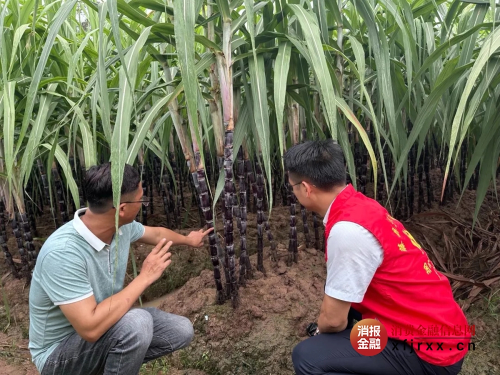 微信图片_20251013155604_154_1