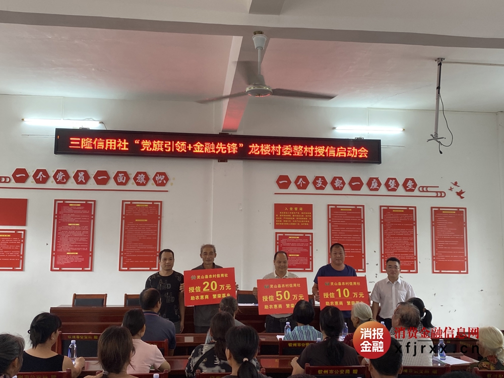 4.开展“党旗引领+金融先锋”整村授信活动